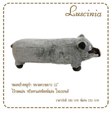 หมอนข้างหมูป่า